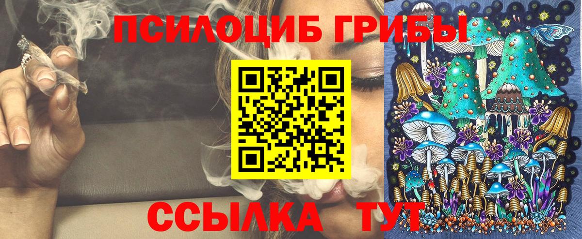 Галлюциногенные грибы прущие грибы  Псилоцибиновые грибы Psilocybine cubensis  Ярославль  Вход с VPN 
