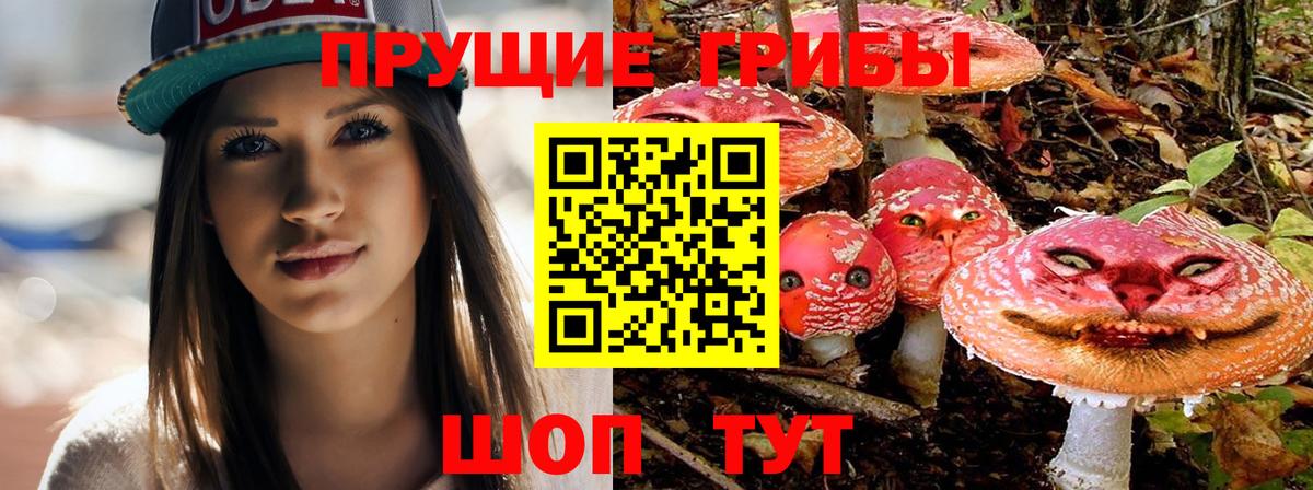 Псилоцибиновые грибы MAGIC MUSHROOMS Ярославль