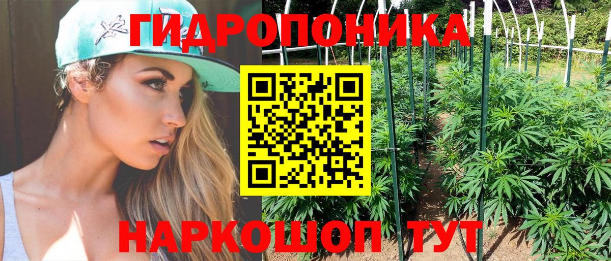 Каннабис ГИДРОПОН  Шишки марихуана MAZAR  Вход с VPN  МАРИХУАНА марихуана  Ярославль 